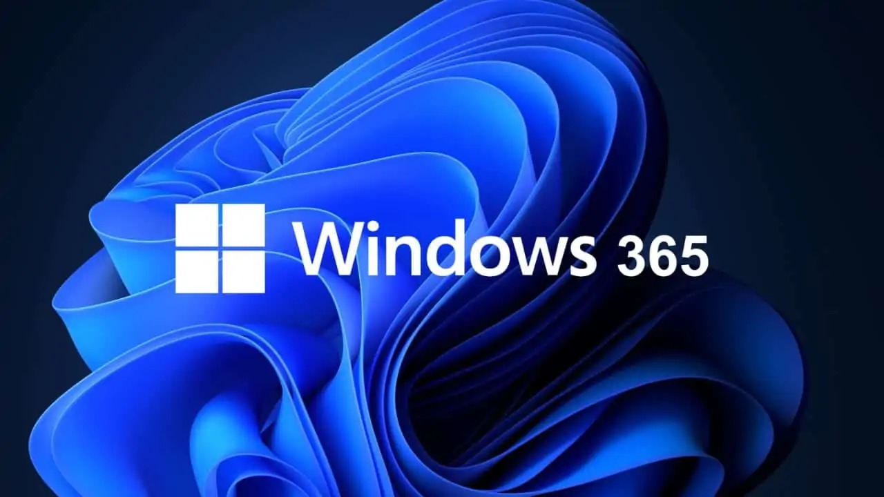 windows 365