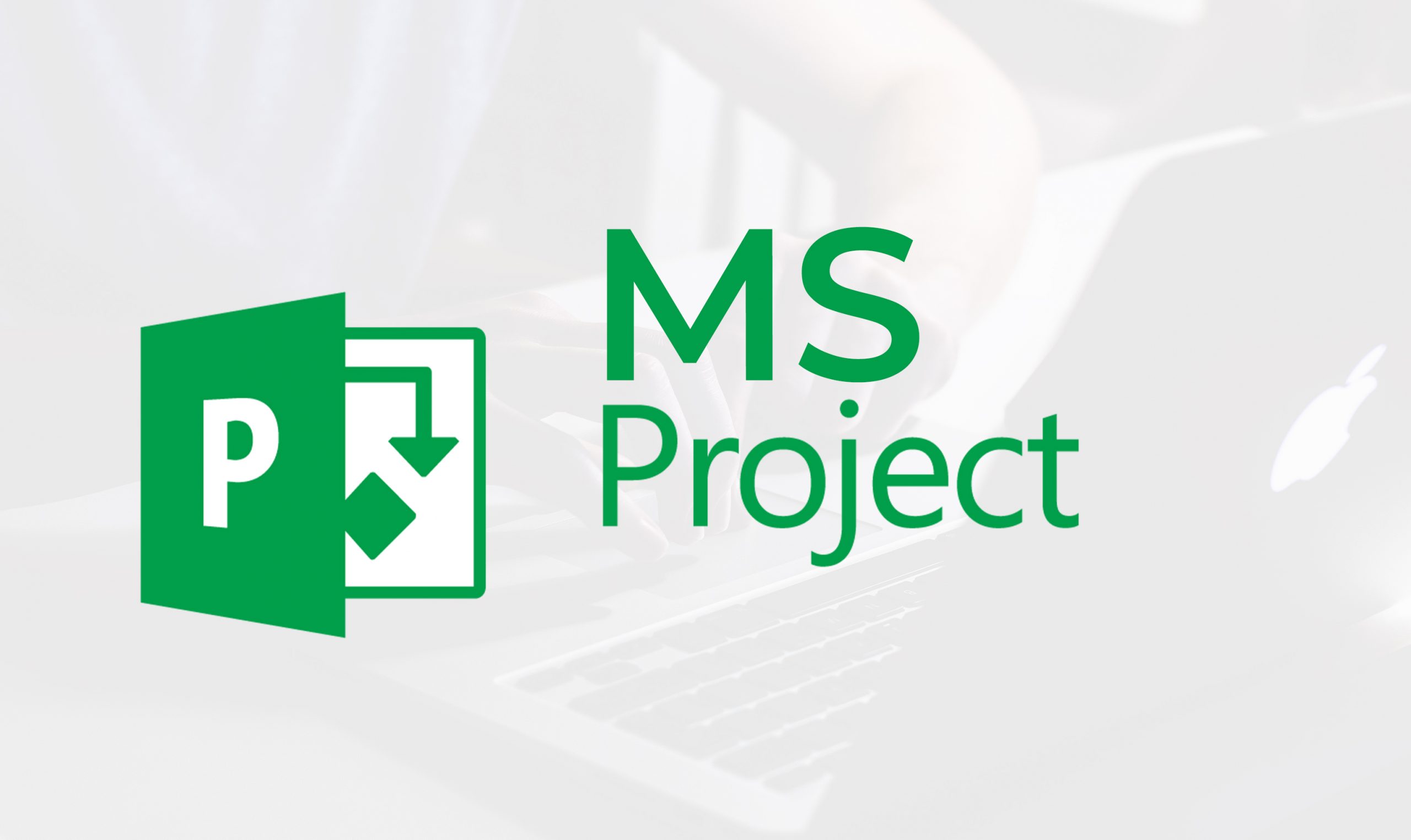Hướng dẫn cách quản lý dự án trong Microsoft 365 Project