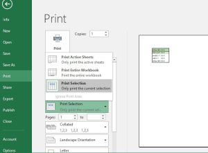 Chọn Print Selection