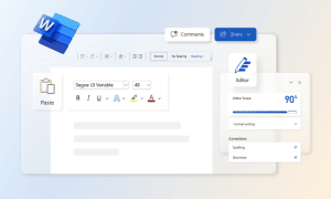Microsoft word