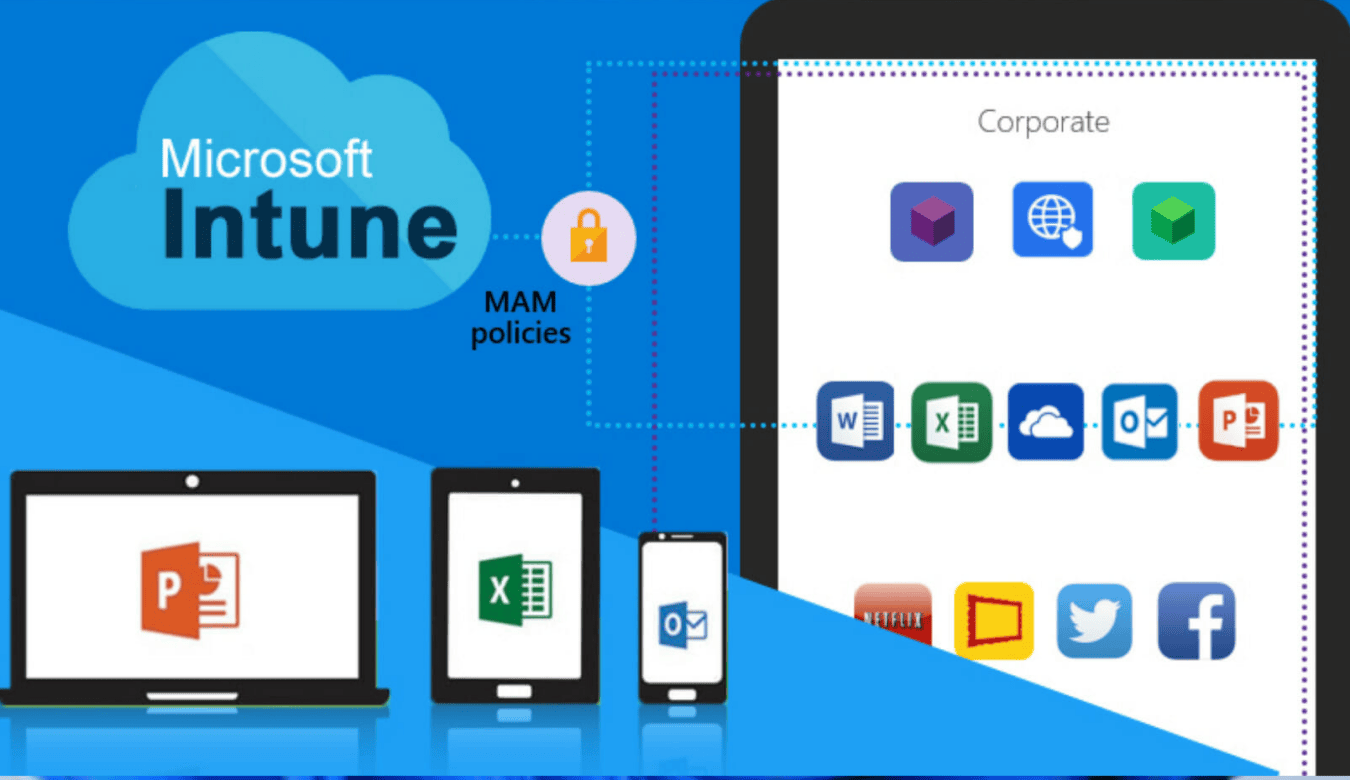 Các dịch vụ bảo mật của Microsoft 365 là gì?