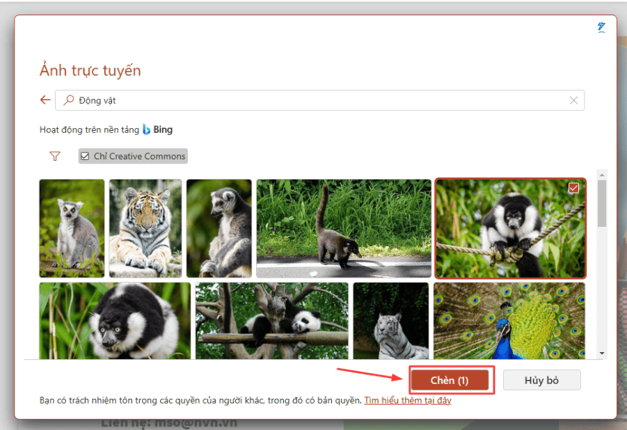 Cách chèn ảnh từ Google vào PowerPoint đơn giản