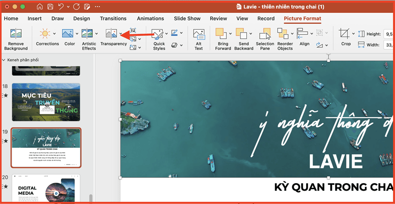 Cách chỉnh độ trong suốt của ảnh trong PowerPoint
