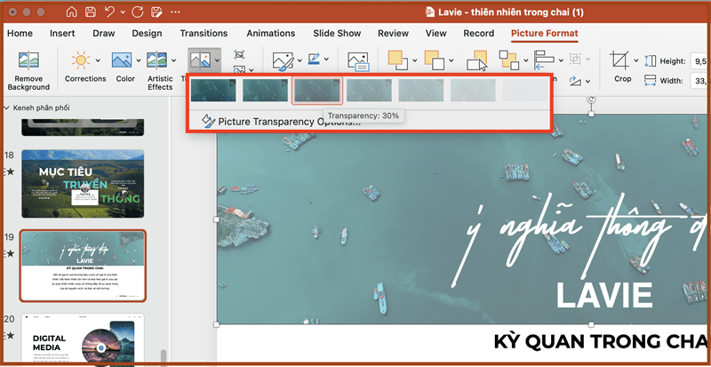 Cách chỉnh độ trong suốt của ảnh trong PowerPoint