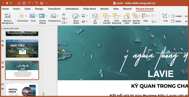 Cách chỉnh độ trong suốt của ảnh trong PowerPoint