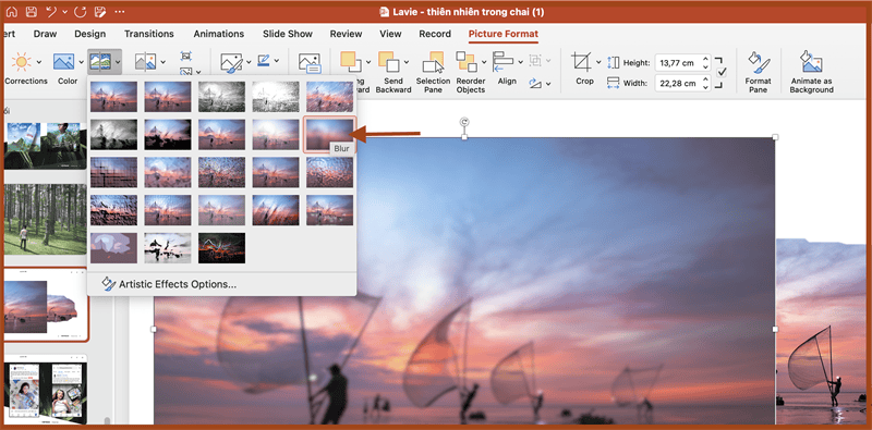 Cách làm mờ ảnh trong PowerPoint chỉ với nền
