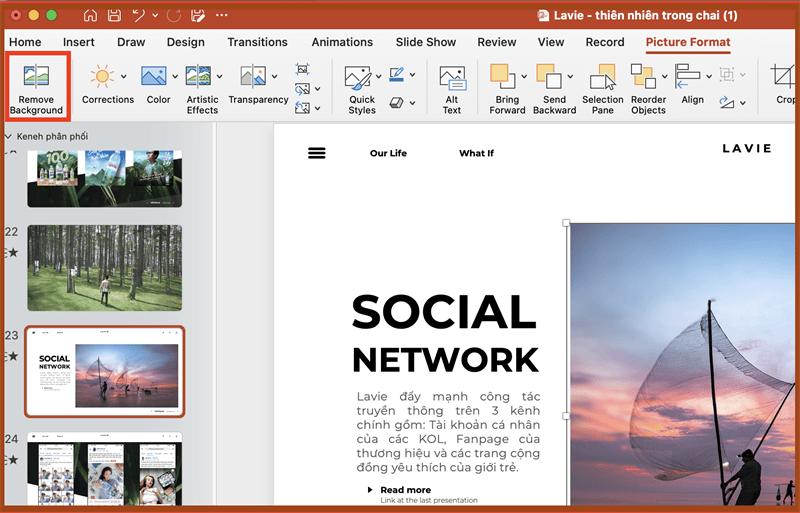 Cách làm mờ ảnh trong PowerPoint chỉ với nền