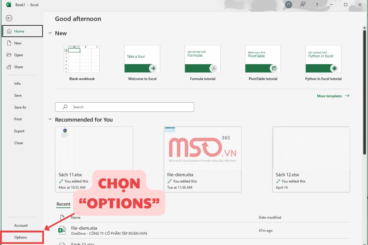 Cách khắc phục lỗi Excel bị ẩn Sheet Tab bằng tùy chọn Options