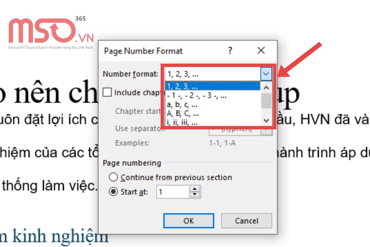Hướng dẫn cách đánh số trang trong Word từ trang bất kỳ