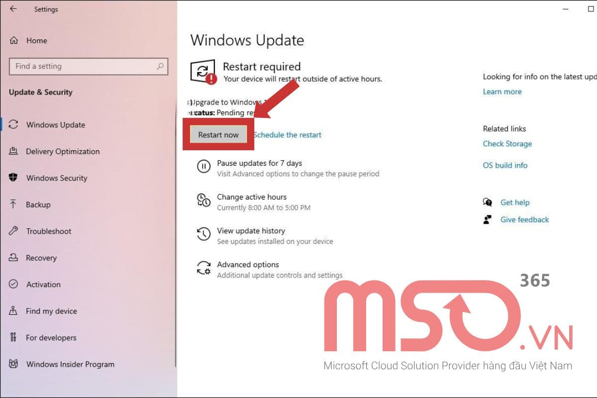 Cách update Windows 10 lên Windows 11 khi có thông báo