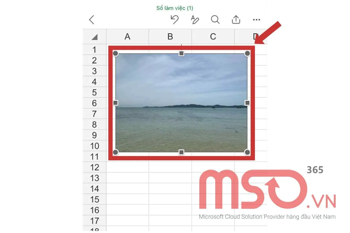 Hướng dẫn cách chèn hình ảnh vào Excel trên điện thoại