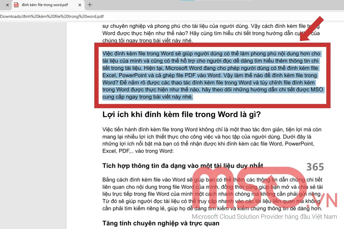 Cách ghép file PDF vào Word với một đoạn nhỏ