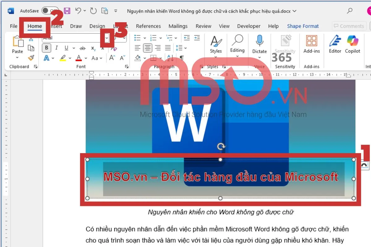 Cách tùy chỉnh chữ đã chèn vào trong ảnh trên tài liệu Word