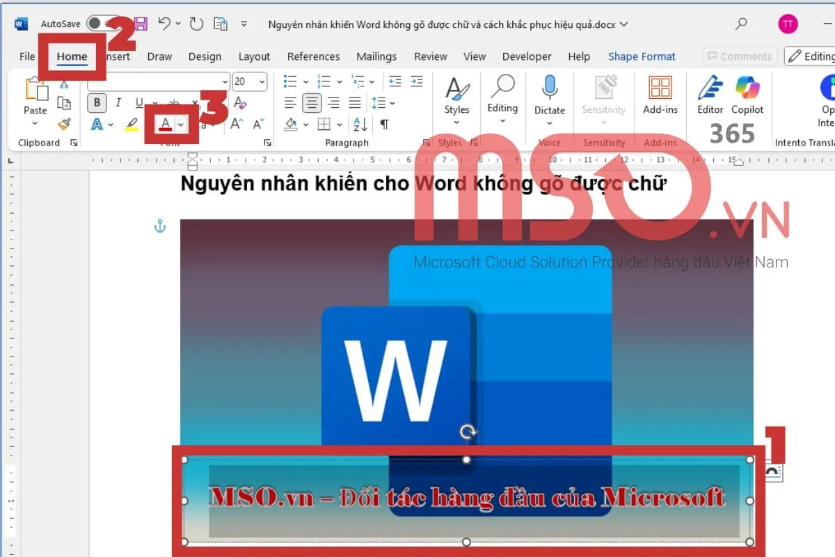 Cách tùy chỉnh chữ đã chèn vào trong ảnh trên tài liệu Word