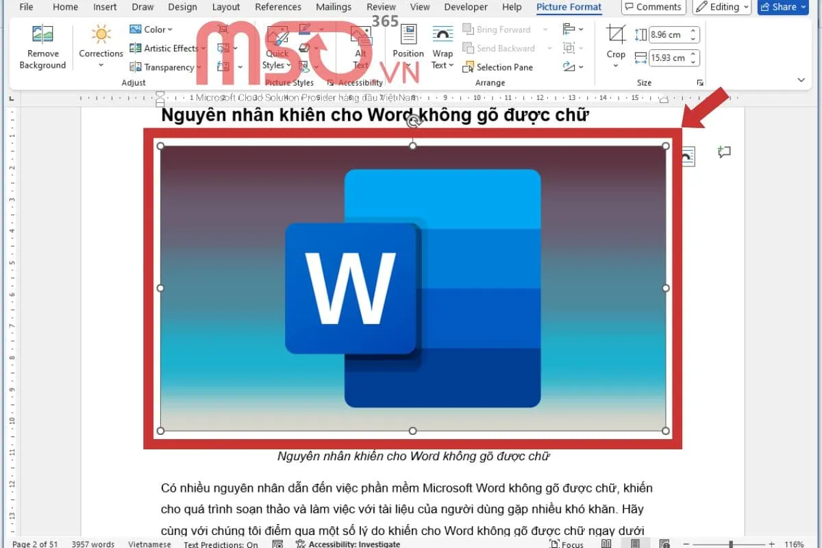 Hướng dẫn các cách viết chữ lên ảnh trong Word trên máy tính
