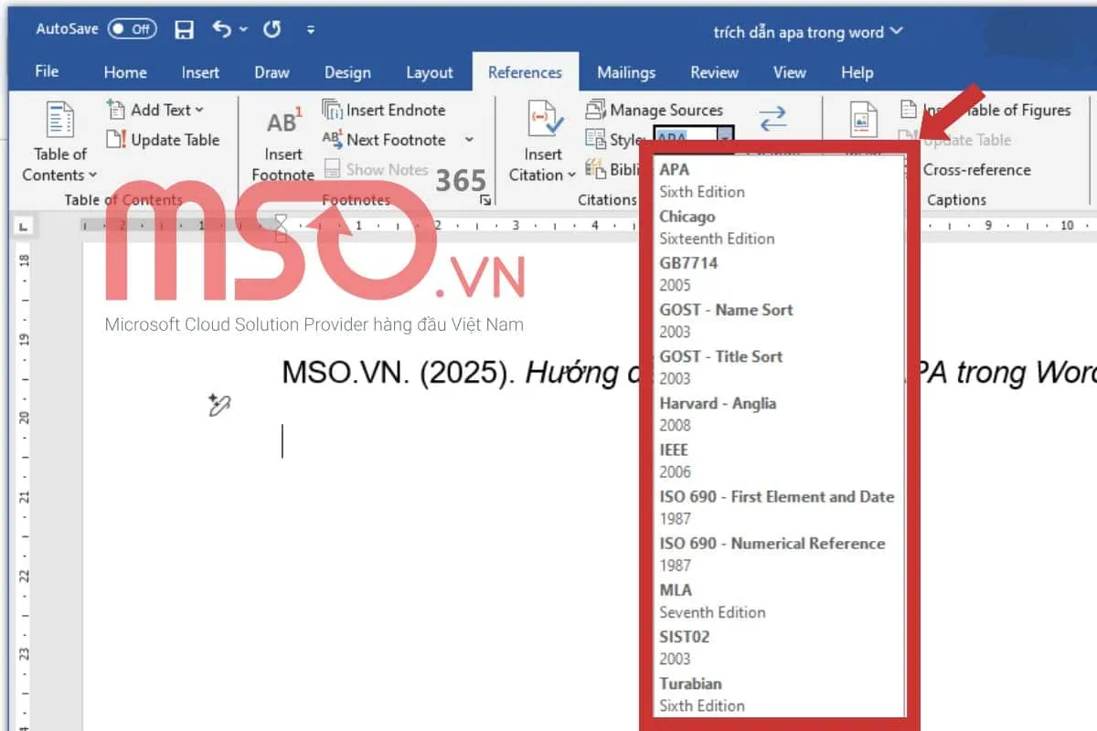 Hướng dẫn cách trích dẫn APA trong Word chuẩn 2025