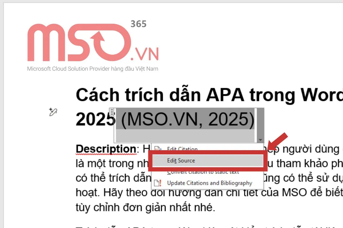 Hướng dẫn cách trích dẫn APA trong Word chuẩn 2025