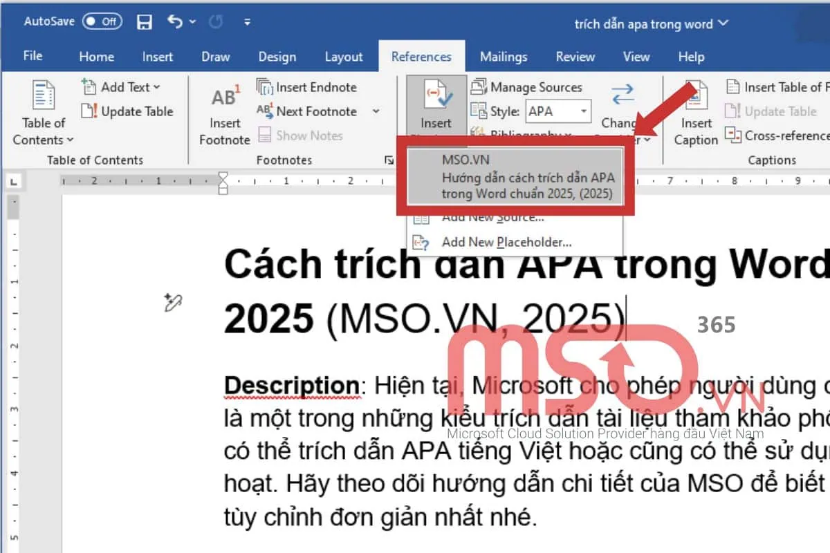 Hướng dẫn cách trích dẫn APA trong Word chuẩn 2025
