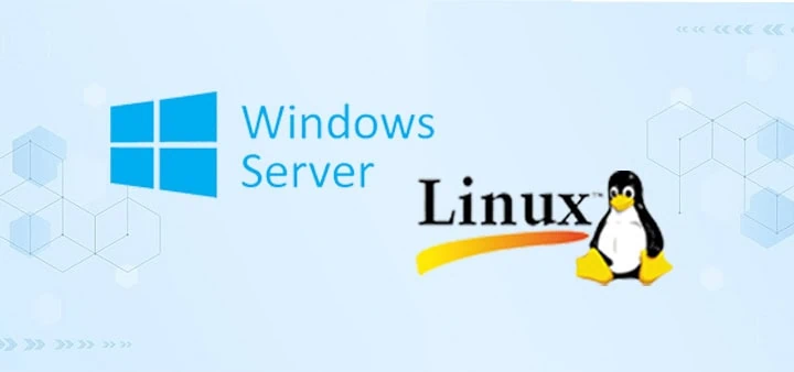 Windows Linux: Sự khác biệt trong quản lý dữ liệu