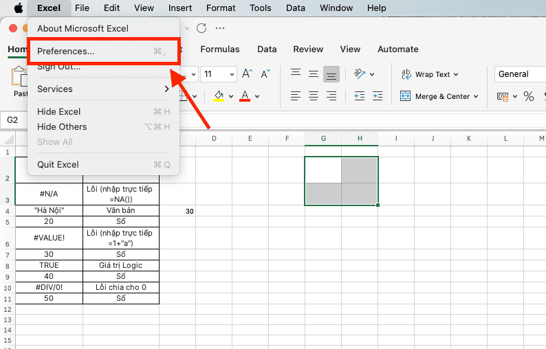 Cách bật thẻ Developer trong Excel trên hệ điều hành MacOS