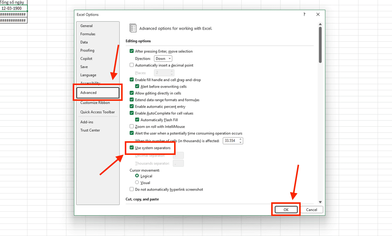 Lỗi nhận diện sai dấu phân cách hàng nghìn và hàng thập phân