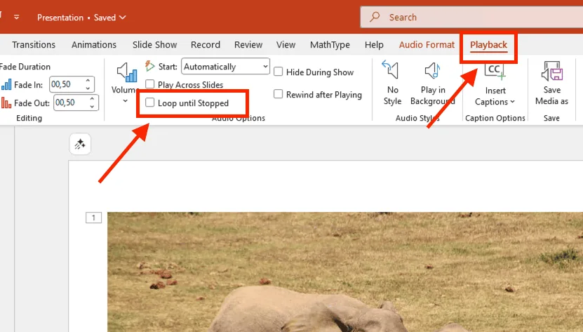 Loop until Stopped (Lặp lại liên tục)