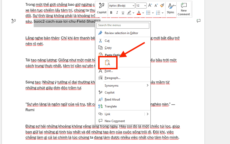 Sử dụng tính năng Paste Options (Keep Text Only)