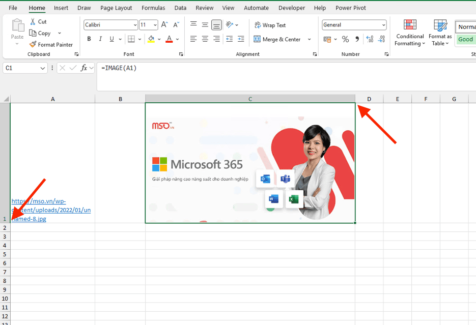 Cách chèn ảnh bằng hàm IMAGE trong Excel