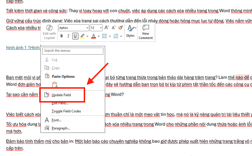 Cách cập nhật mục lục hình ảnh khi thay đổi số trang hoặc nội dung