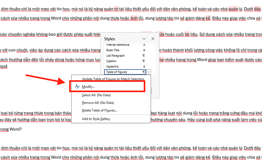 Thay đổi kiểu chữ (Modify Styles)