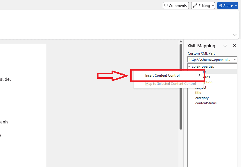 XML Mapping trong Microsoft Word