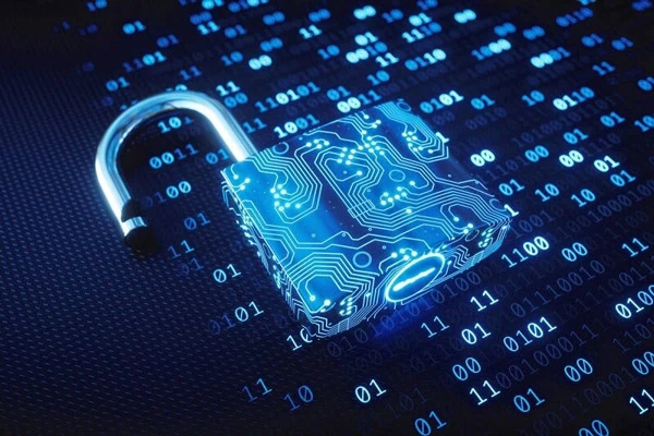Mã hóa dữ liệu và bảo vệ quyền sở hữu trí tuệ (Encryption)