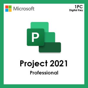 project professional 2021